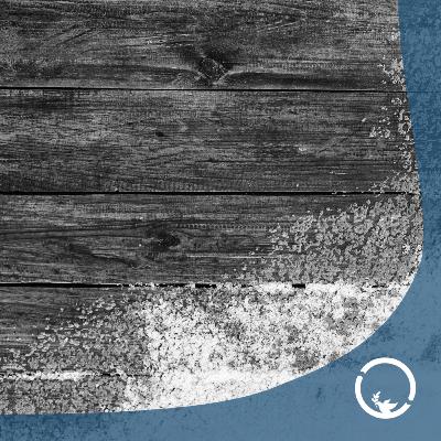 #98 Te zmiany dzieją się naprawdę