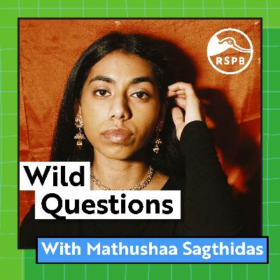 Do Worms Have Eyes? (Mathushaa Sagthidas)