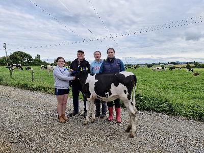 No Udder Way