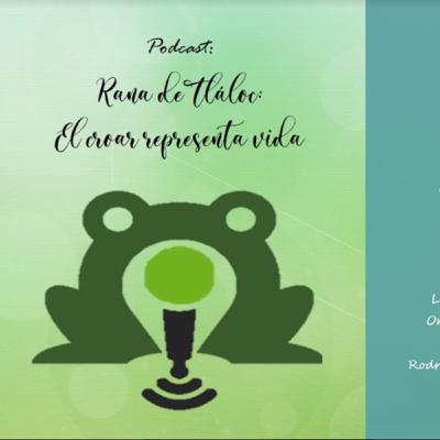 Rana de Tláloc: El croar representa vida