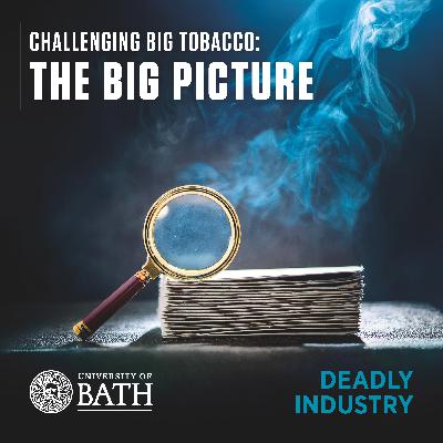 Ep 1: The Big Picture