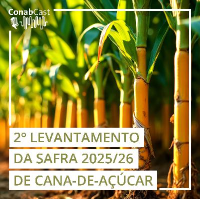 Nova estimativa da Conab para safra 2025/26 de cana-de-açúcar traz uma produção de 668,8 milhões de toneladas