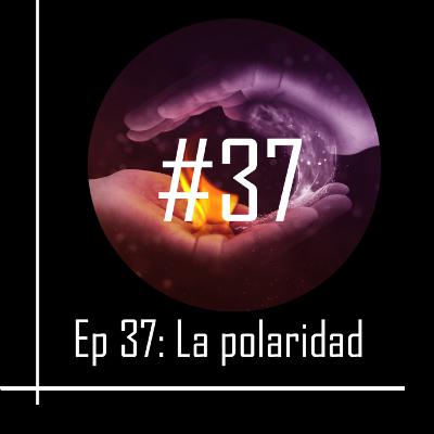 La polaridad