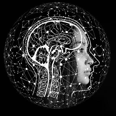 Increase Your Intelligence with this One Simple Habit