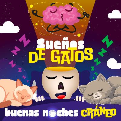 Sueños de gatos (Tranquilidad)