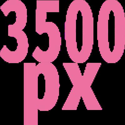 3500 - 3500