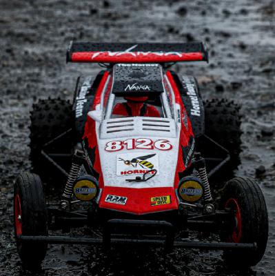 What are the Top Paint Colors for the Tamiya Hornet R/C Buggy? What are the Top Paint Colors for the Tamiya Hornet R/C Buggy?