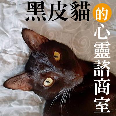 黑皮貓的心靈諮商室 --- 人生成敗的靈性7法:讓一生圓融無遺憾的關鍵法則 黑皮貓的心靈諮商室 --- 人生成敗的靈性7法:讓一生圓融無遺憾的關鍵法則