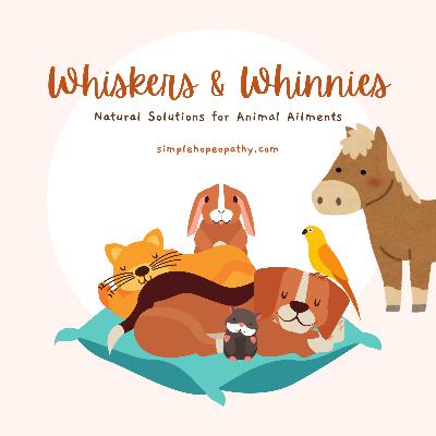 Whiskers & Whinnies: Natural Solutions for Animal Ailments Whiskers & Whinnies: Natural Solutions for Animal Ailments
