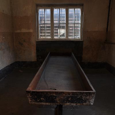 "On Auschwitz" (59): Block no. 10 in Auschwitz I and sterilization experiments