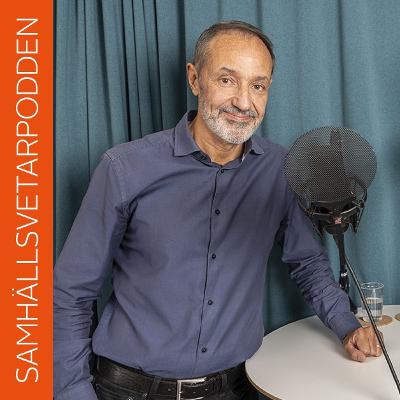 ”Den här typen av styrelseskick är väldigt osvenskt”, Göran Sundström, professor, statsvetenskap