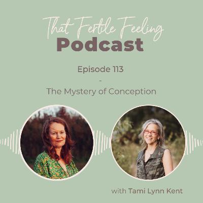 Episode 113 - The mystery of conception w/ Tami Lynn Kent Episode 113 - The mystery of conception w/ Tami Lynn Kent