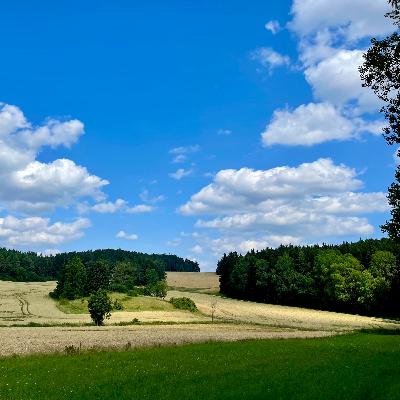 Heute aus dem Naturpark Hirschwald