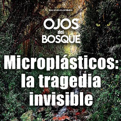 Microplasticos: La tragedia invisible