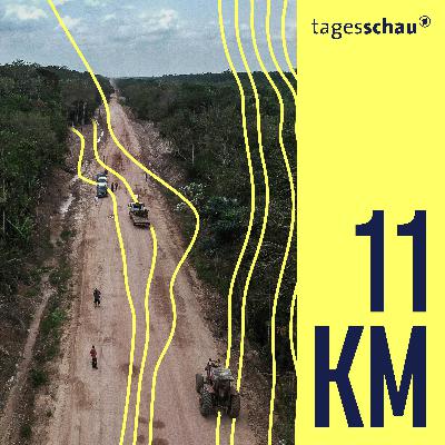 Schnellstraße im Regenwald: Weltklima auf der Kippe?