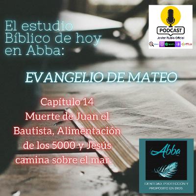 EVANGELIO DE MATEO Capítulo 14