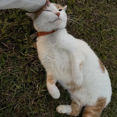 Ep.16｜【Neko來信】靠著無數陌生人的善意活下去