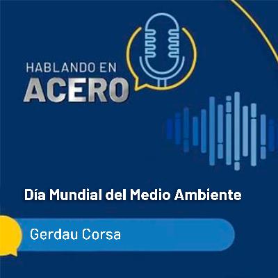 Día Mundial del Medio Ambiente - Gerdau Corsa