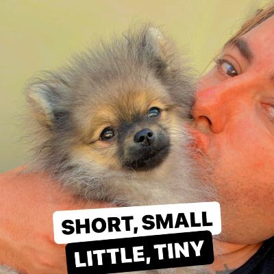 SHORT X SMALL X LITTLE X TINY