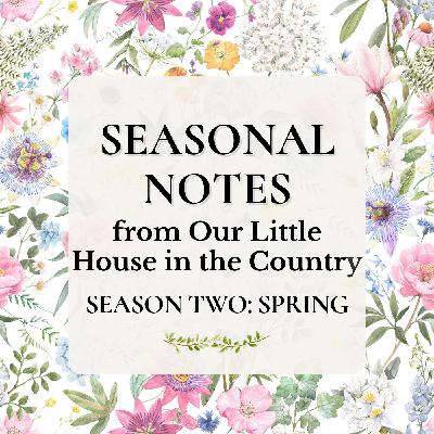 The Return of the Light