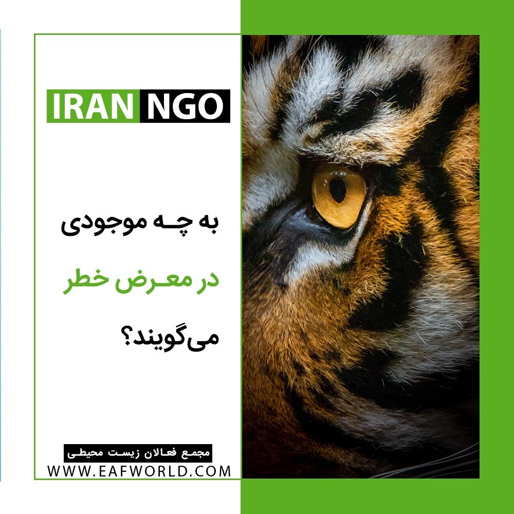 به چه موجودی در معرض خطر می‌گویند؟