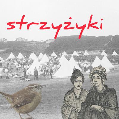 Strzyżyki