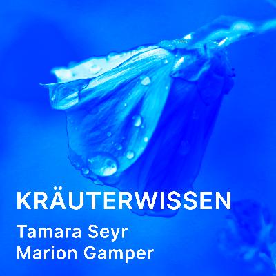 Kräuterwissen | 1. Bauchgefühl – Warum Erkältungen im Bauch anfangen Kräuterwissen | 1. Bauchgefühl – Warum Erkältungen im Bauch anfangen