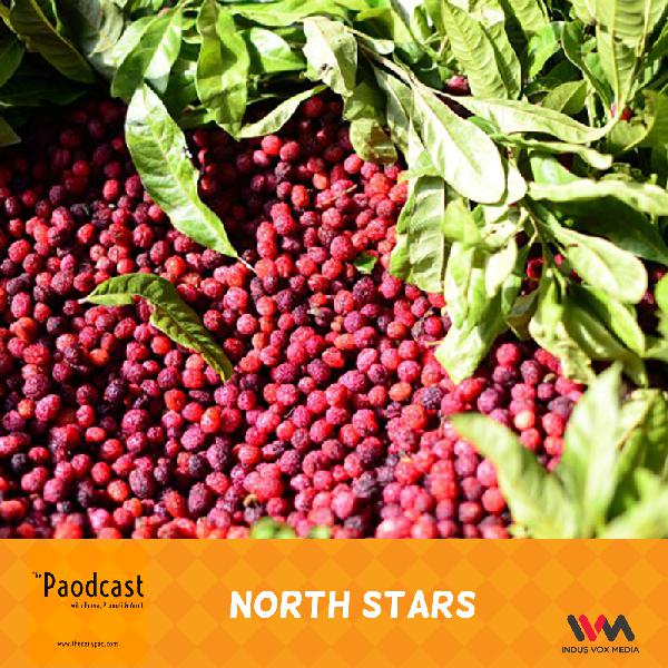 Ep. 70: North Stars Ep. 70: North Stars