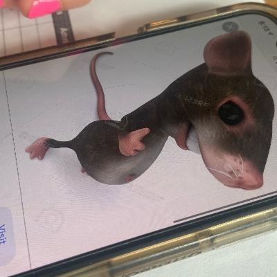 Thé curious Incident- #1(9)