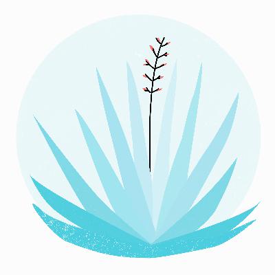 Ben Brown: The Library Book Unfolded