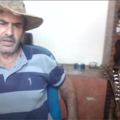 Surradores De Viola?