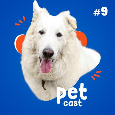 PetCast #09 - Abril Laranja, Direitos dos Animais e História de Resgate.