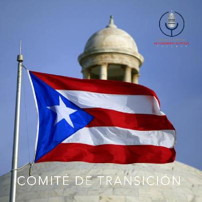 015: Comité de Transición
