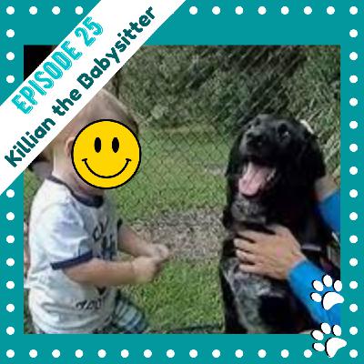 Ep 25- Killian the Babysitting Dog