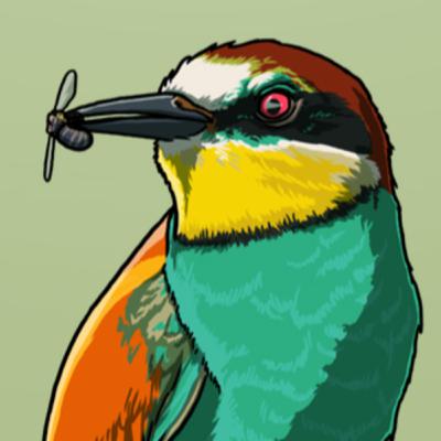 A Rainbow Winged Wanderer