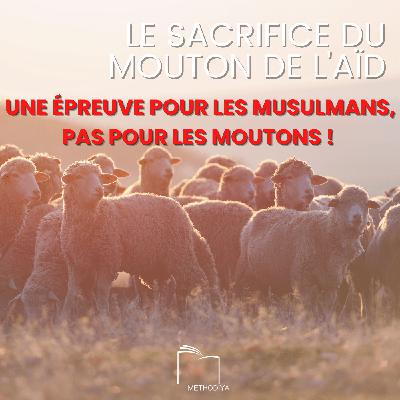 Le sacrifice de l'Aïd : une épreuve pour les Musulmans, pas pour les Moutons ‼️ Le sacrifice de l'Aïd : une épreuve pour les Musulmans, pas pour les Moutons ‼️