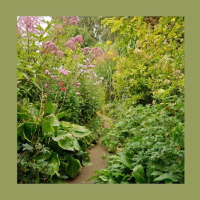 #233 Come creare un giardino naturale e ordinato