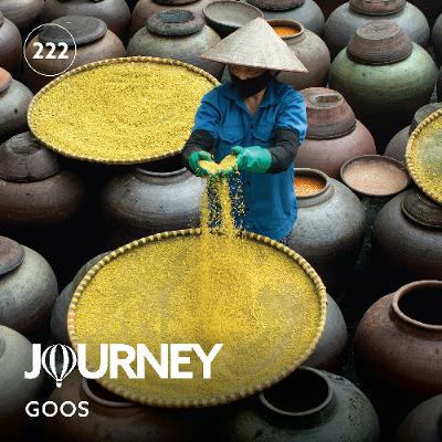 Journey - Episode 222 - Goos