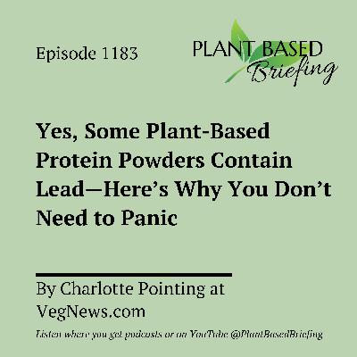 1183: Yes, Some Plant-Based Protein Powders Contain Lead—Here's Why You Don't Need to Panic by Charlotte Pointing at VegNews.com 1183: Yes, Some Plant-Based Protein Powders Contain Lead—Here's Why You Don't Need to Panic by Charlotte Pointing at VegNews.com