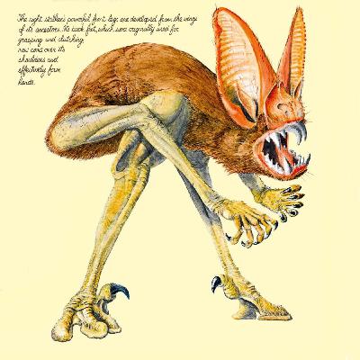 8. Biodistopias en las ciencias del pasado: Biología especulativa