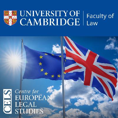 Investor Citizenship - Case C-181/23 Commission v Malta: CELS Roundtable Discussion