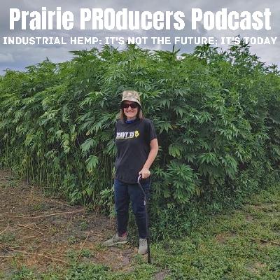 Sarah Wellington, Minnesota Hemp Farmers and Manufacturers Association Sarah Wellington, Minnesota Hemp Farmers and Manufacturers Association