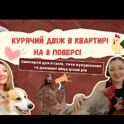 КУРЯЧИЙ ДВІЖ В КВАРТИРІ НА 8 ПОВЕРСІ