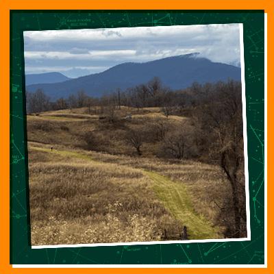 How to Grow a Naturalist