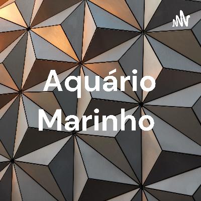 COMO TER SPS (corais duros) EM UM AQUARIO MARINHO CUBO ? ALL IN ONE #aquariomarinho