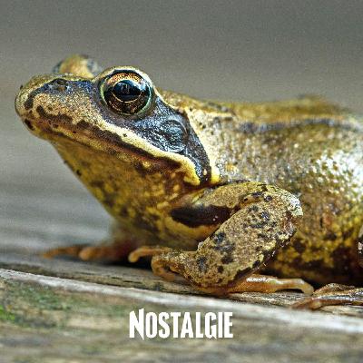 Coeur qui gèle, bec qui s'allonge : les animaux, sources inépuisables d'inspiration