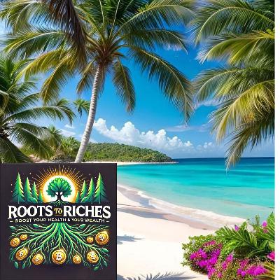 What Do Billionaires Invest In?