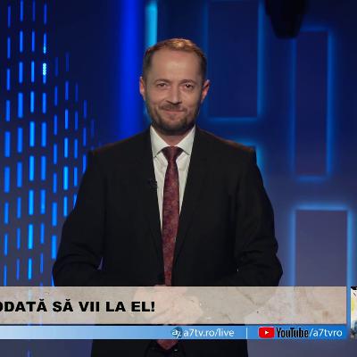 Mântuitorul vagabonzilor - Ionică Herlea