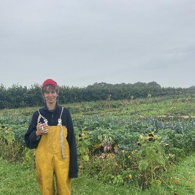 Toekomstboeren aan het woord: starten op de ruïnes van het kapitalisme