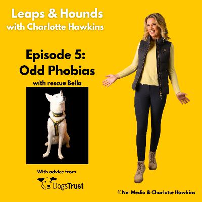 Episode 5: Odd Phobias with Bella Episode 5: Odd Phobias with Bella